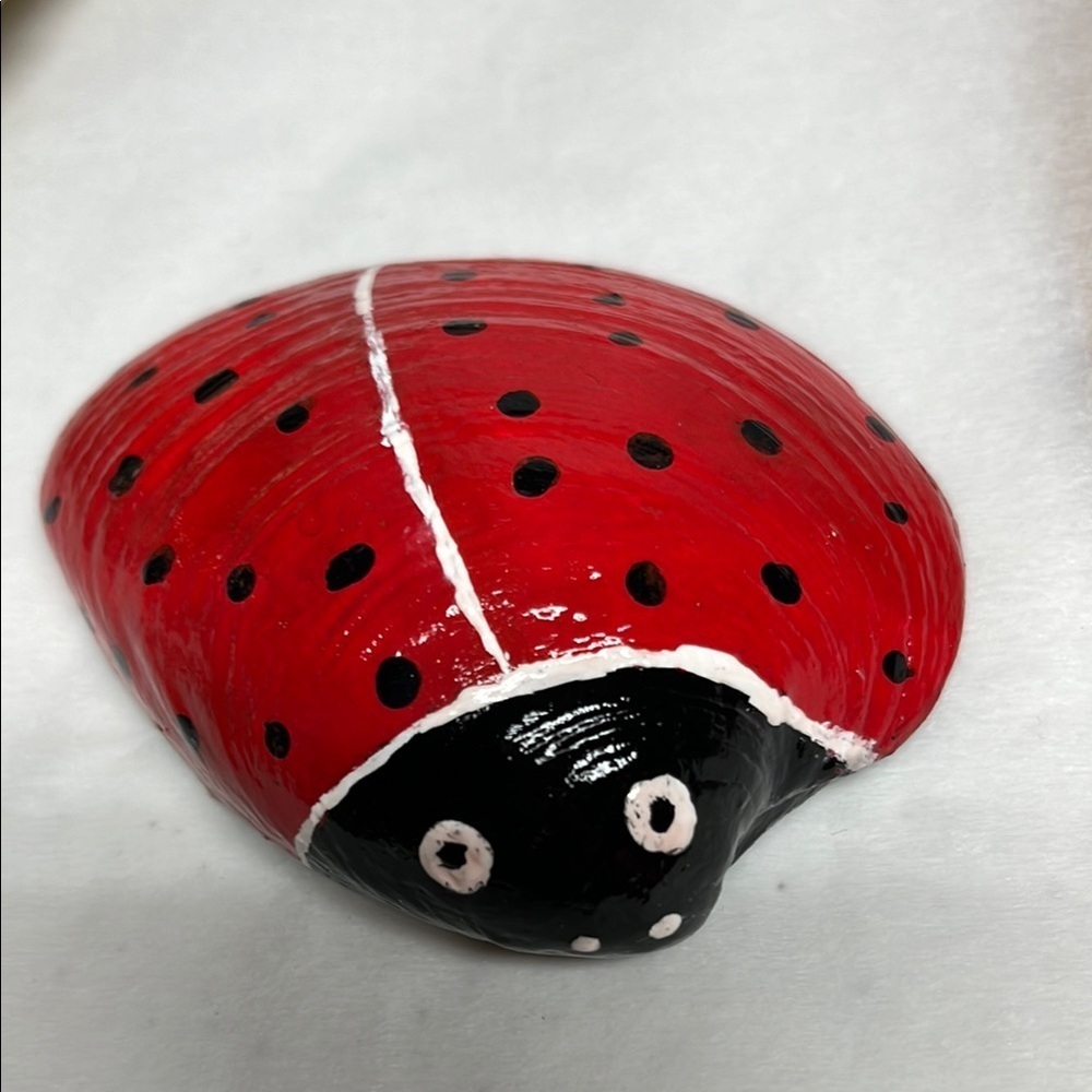 Hand Painted  Ladybug Shell